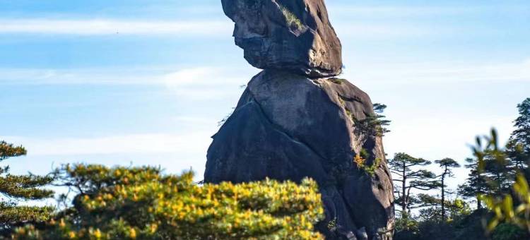 三清山天龙酒店(外双溪游客中心店)图片