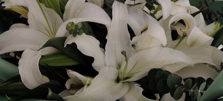 港湾旅馆(长春朝阳店)图片