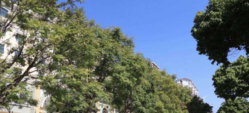 安宁吉湾大酒店图片