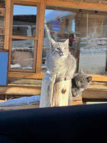 隐山·三十三度假民宿(白哈巴景区店)图片