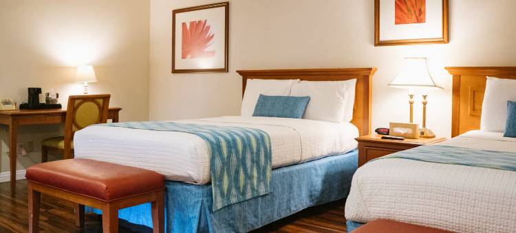 阿拉莫会展中心套房酒店(Alamo Inn and Suites - Convention Center)图片