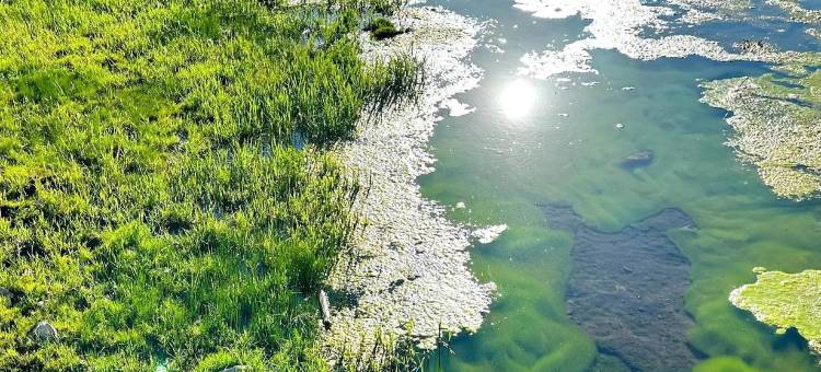 沁心缘宾馆图片