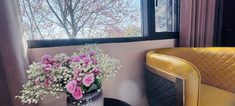 云山民宿(百花岭店)图片