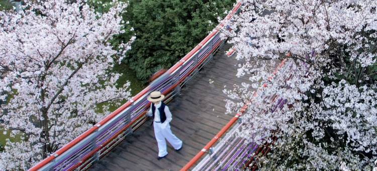 泊宁酒店(宁波东部新城会展店)图片