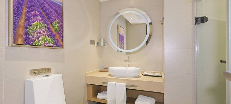 麗枫酒店(长春净月大学城店)图片