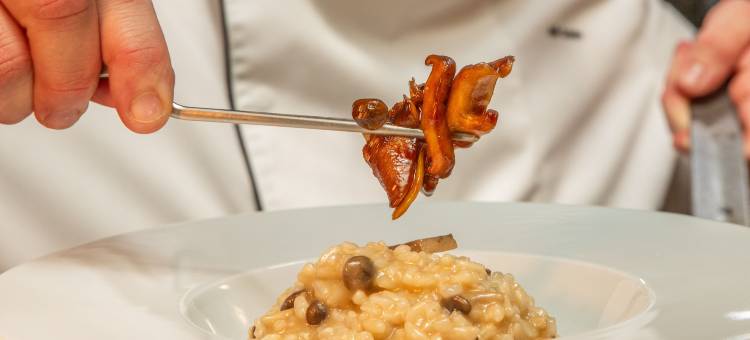 VIP行政艺术酒店(VIP Executive Arts Hotel)图片