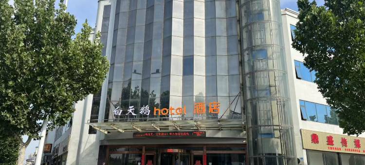 白天鹅酒店(卫辉市政府店)图片