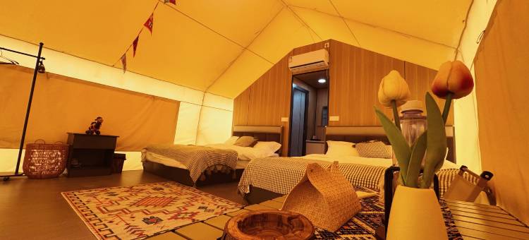 大漠神鹰星空露营民宿图片