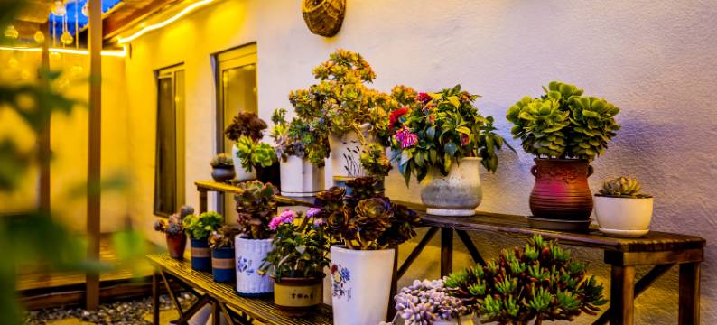 塞罕坝十里居民宿 图片