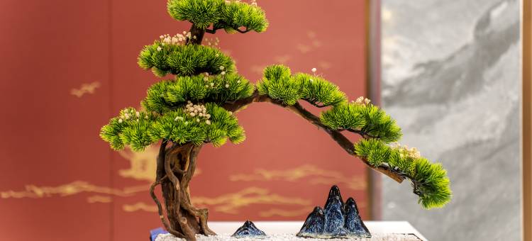 尚府轻居酒店(茂名高铁站东信时代广场店)图片