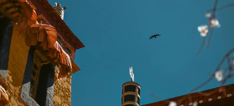 逸馨·月下尘世HYGGE|空间艺术酒店(独克宗古城大佛寺转经筒店)图片