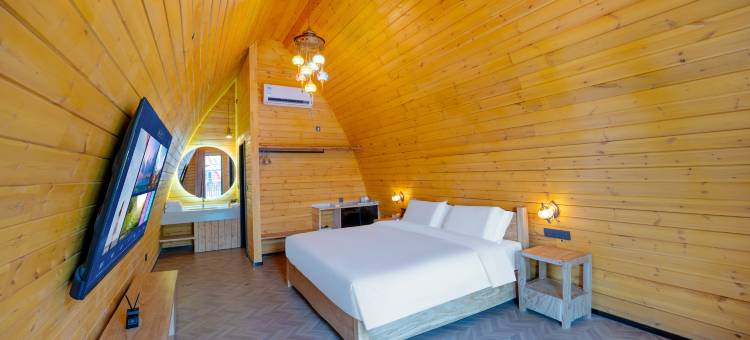 焰火小镇|Firevale·待花谷泳池度假庄园(葡萄沟风景区店)图片