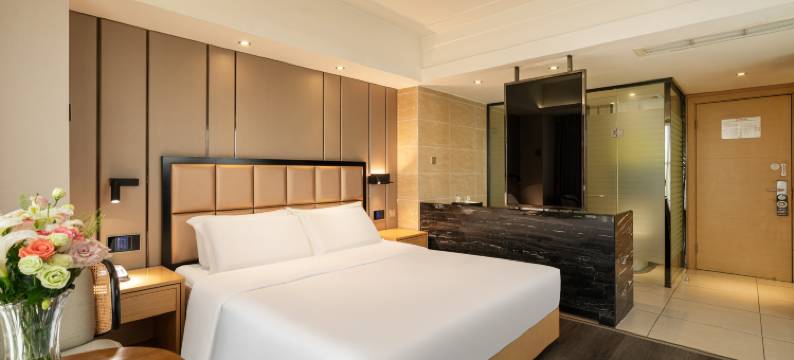 丽呈睿轩酒店(乐山张公桥美食街店)图片