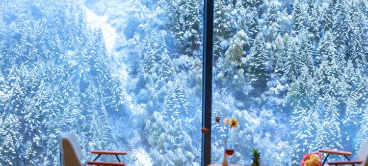 Vala Toms山崖朔溪酒店(四姑娘山景区店)图片