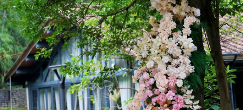 清远谷里汤泉民宿图片