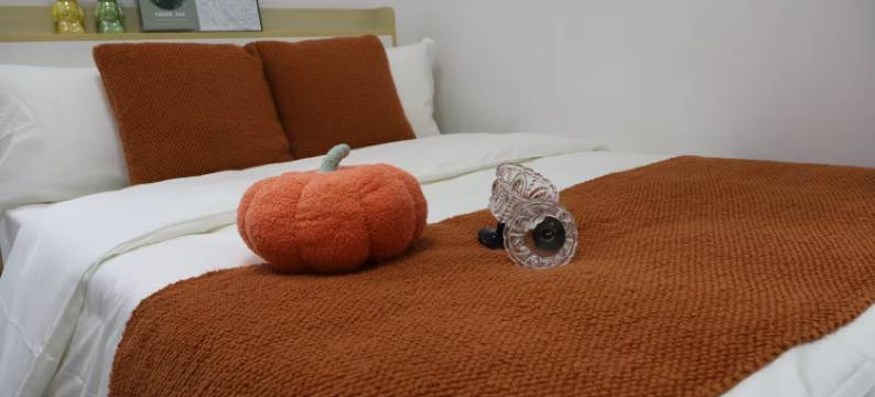 诗雅图行政公寓图片