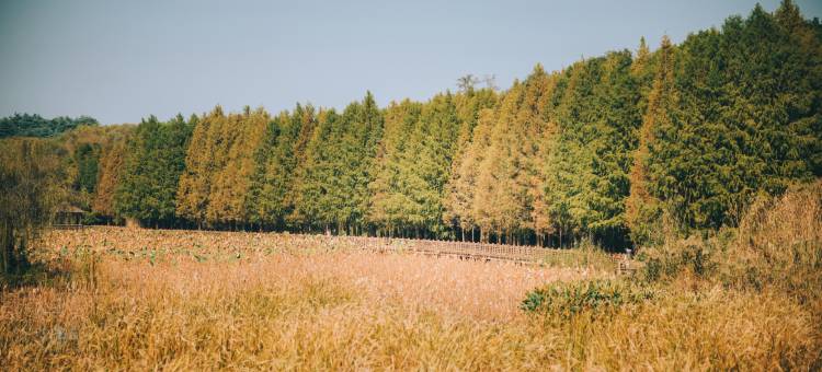 瘦西湖宋城度假酒店图片