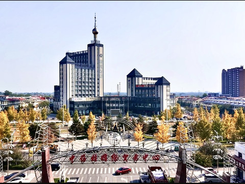 国贸酒店(保定安国东方药城中药材国贸中心广场店)