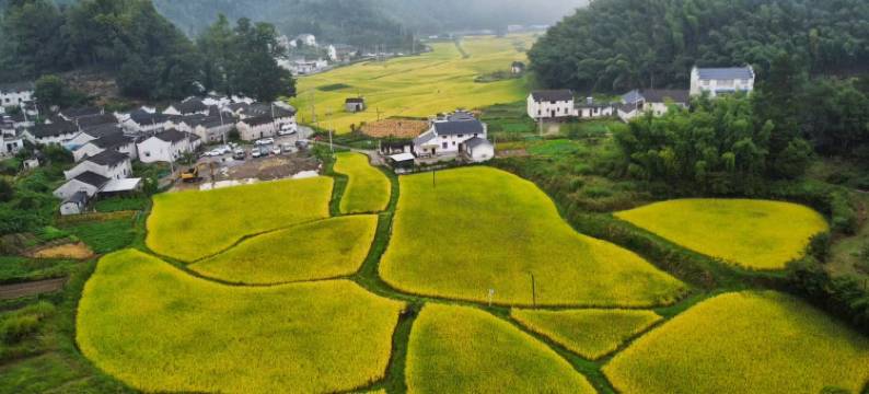 石台奇峰远山客栈图片