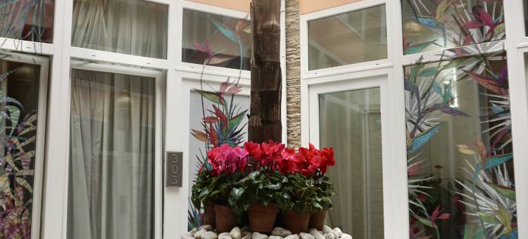 维斯帕西亚诺酒店(Hotel Vespasiano)图片