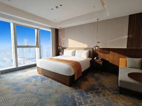 长沙芙蓉浩枫温德姆酒店(隆平水稻博物馆地铁站店)图片