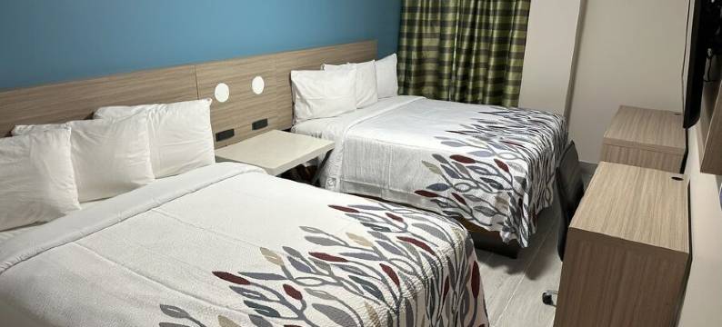 红屋顶PLUS+布鲁克林-弗拉特布什大道(Red Roof PLUS+ Brooklyn - Flatbush Ave)图片