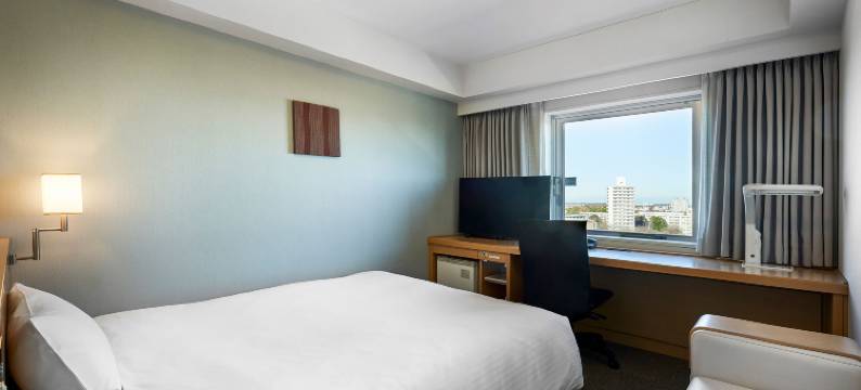 筑波大和鲁内酒店(Daiwa Roynet Hotel Tsukuba)图片