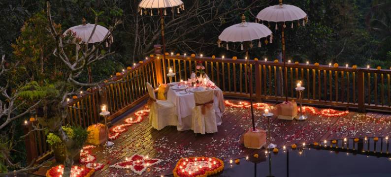 空中花园南迪尼丛林酒店(Nandini Jungle by Hanging Gardens)图片