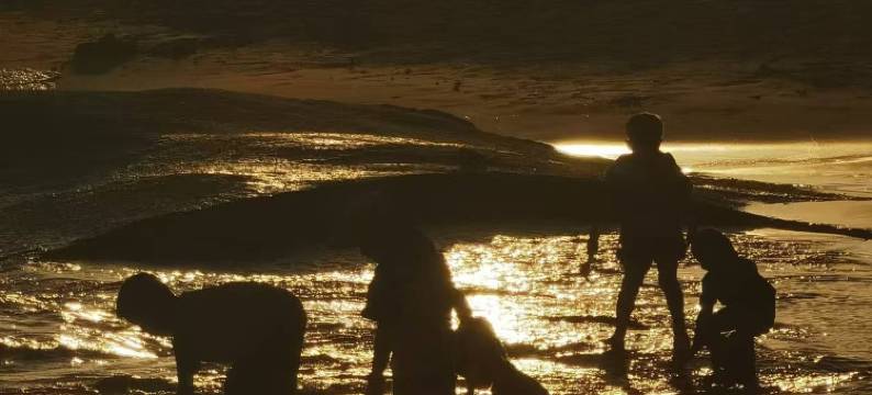 寶邸·东海岸图片