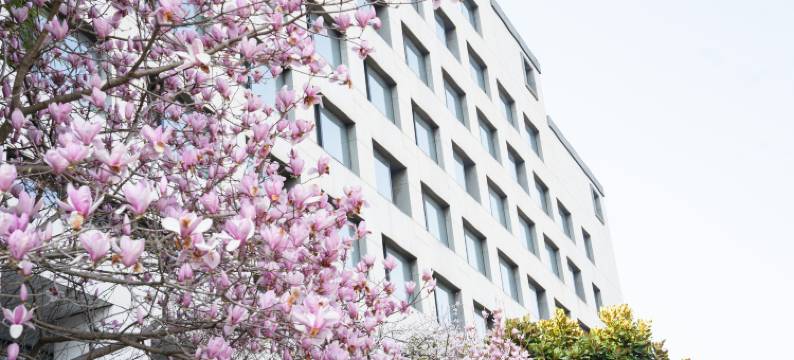 黄山昱城皇冠假日酒店图片