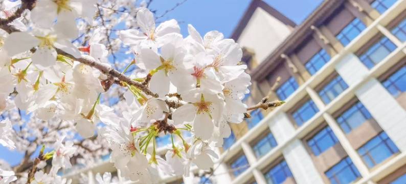 合肥融创永乐半山酒店图片