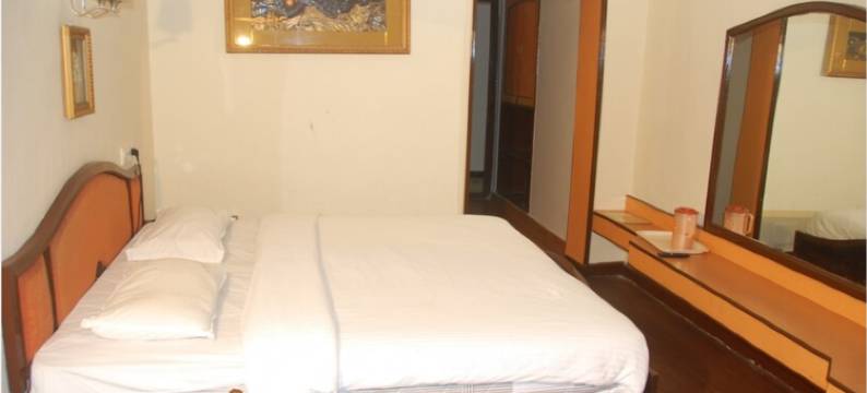 蓝宝石花园景观酒店(Hotel Sapphire Garden View)图片