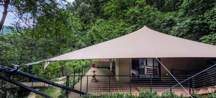 云隐·秦岭深处图片