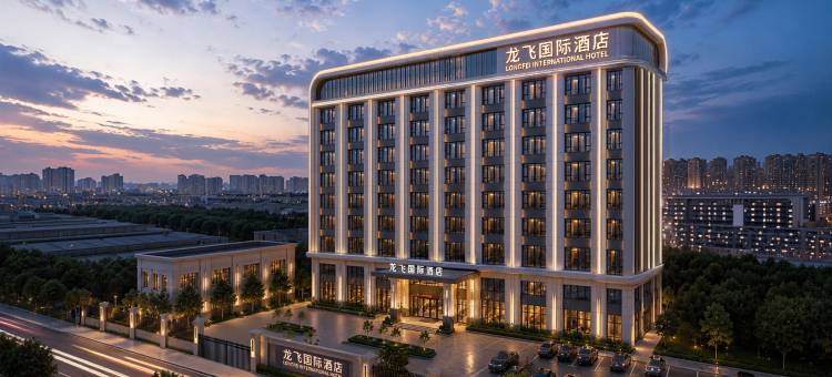 哈尔滨龙飞国际·亚冬文化主题酒店(渤海路地铁站731部队遗址店)图片