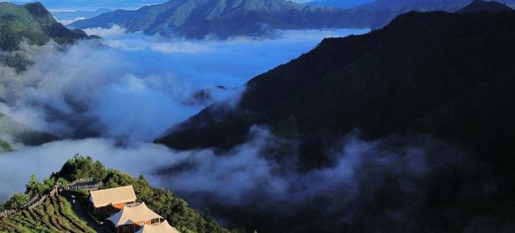 政和县稠岭明月松间民宿图片