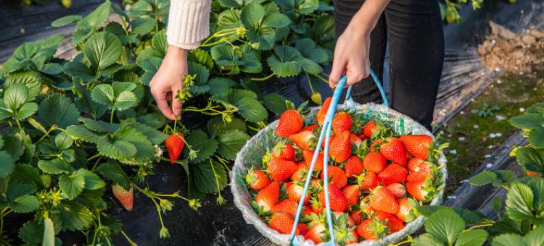天府云逸大酒店(成都天府国际机场店)图片
