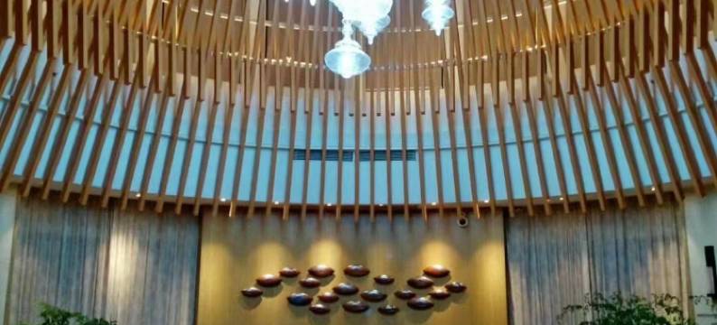 洪湖金渚酒店图片