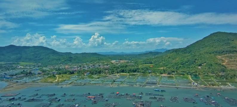 晨夕度假公寓(神州半岛店)图片