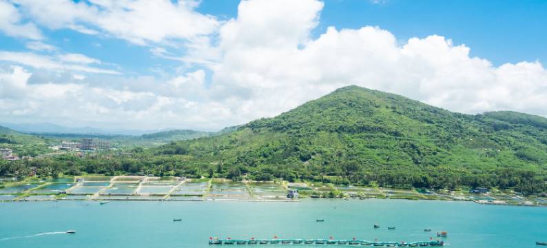 栖客寻梦度假公寓(神州半岛店)图片