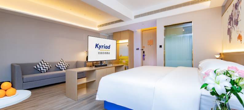 凯里亚德酒店(岳阳楼区高铁东站店)图片