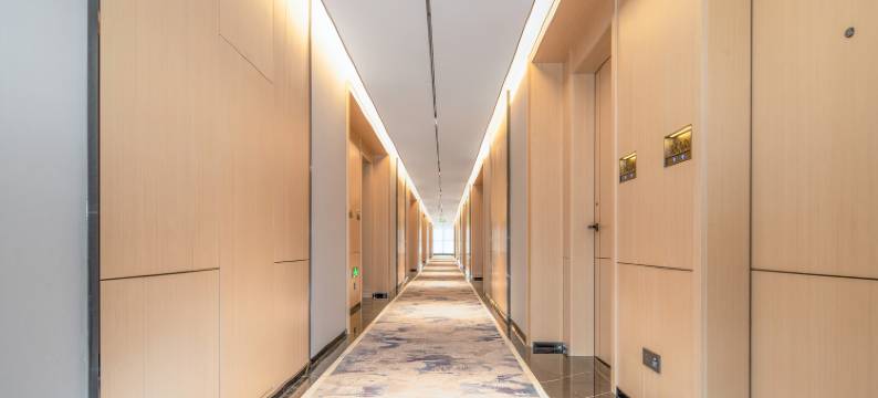 竹心酒店(宝龙地铁站店)图片