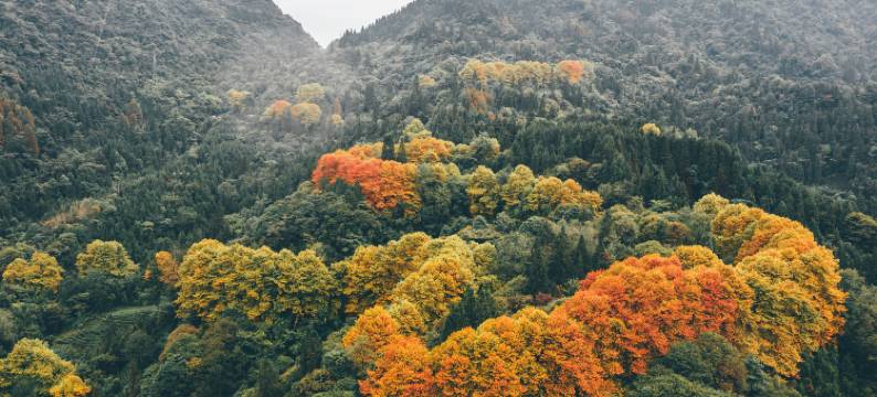 雷洞烟云.星空营地图片