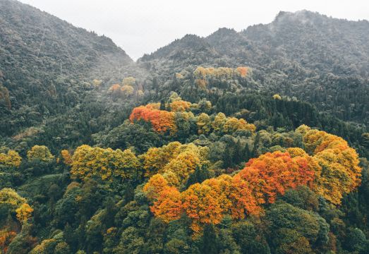 雷洞烟云.星空营地外景图
