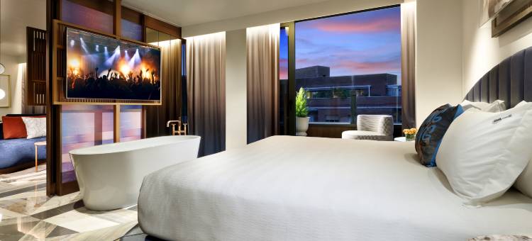 马德里硬石酒店(Hard Rock Hotel Madrid)图片