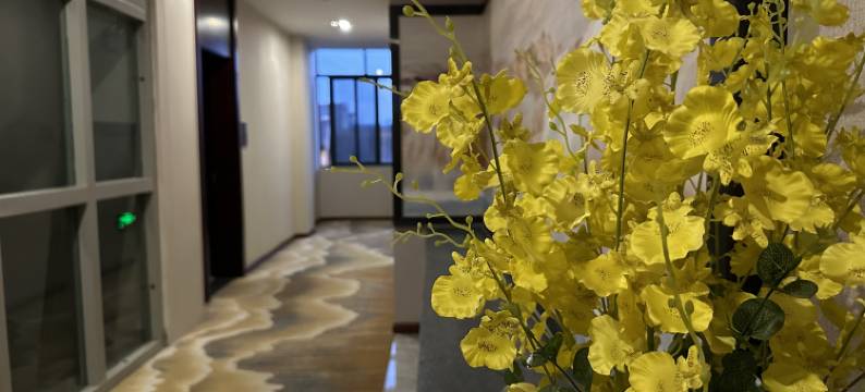 保山望澜酒店(保山云瑞机场店)图片