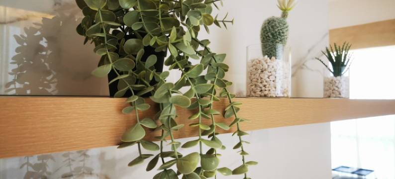 橙子酒店(海口西海岸国际会展中心店)图片