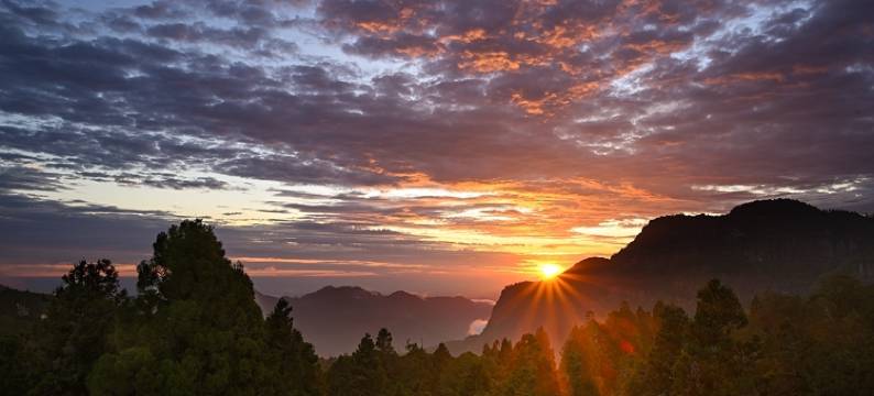 嘉义阿里山宾馆图片