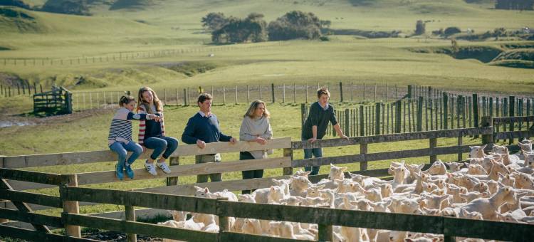 拐子角瑰丽度假酒店(Rosewood Cape Kidnappers)图片