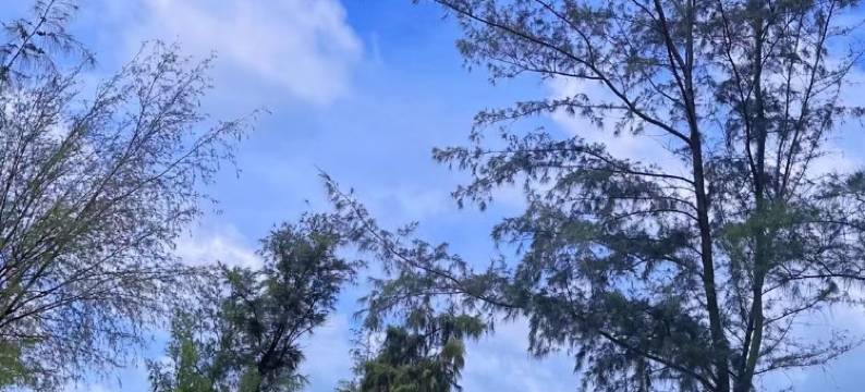 优家海景小苑民宿(阳江东平珍珠湾店)图片