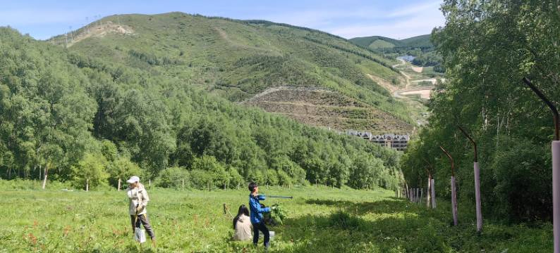 张家口云景尚雪民宿(云顶丽苑店)图片